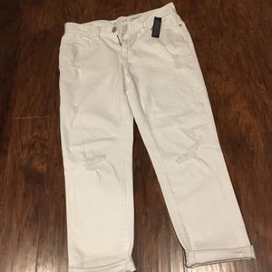 Stylus cropped distressed pants